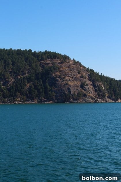 Scenic view from a Washington State Ferry approaching Orcas Island, with water and distant land