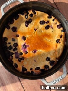 Protein-Packed Dutch Pancake 8 A High Protein Dutch Baby, golden-brown and baked with blueberries, is presented in a round black Staub baking dish on a wooden surface, sunlight casting soft shadows across the scene.