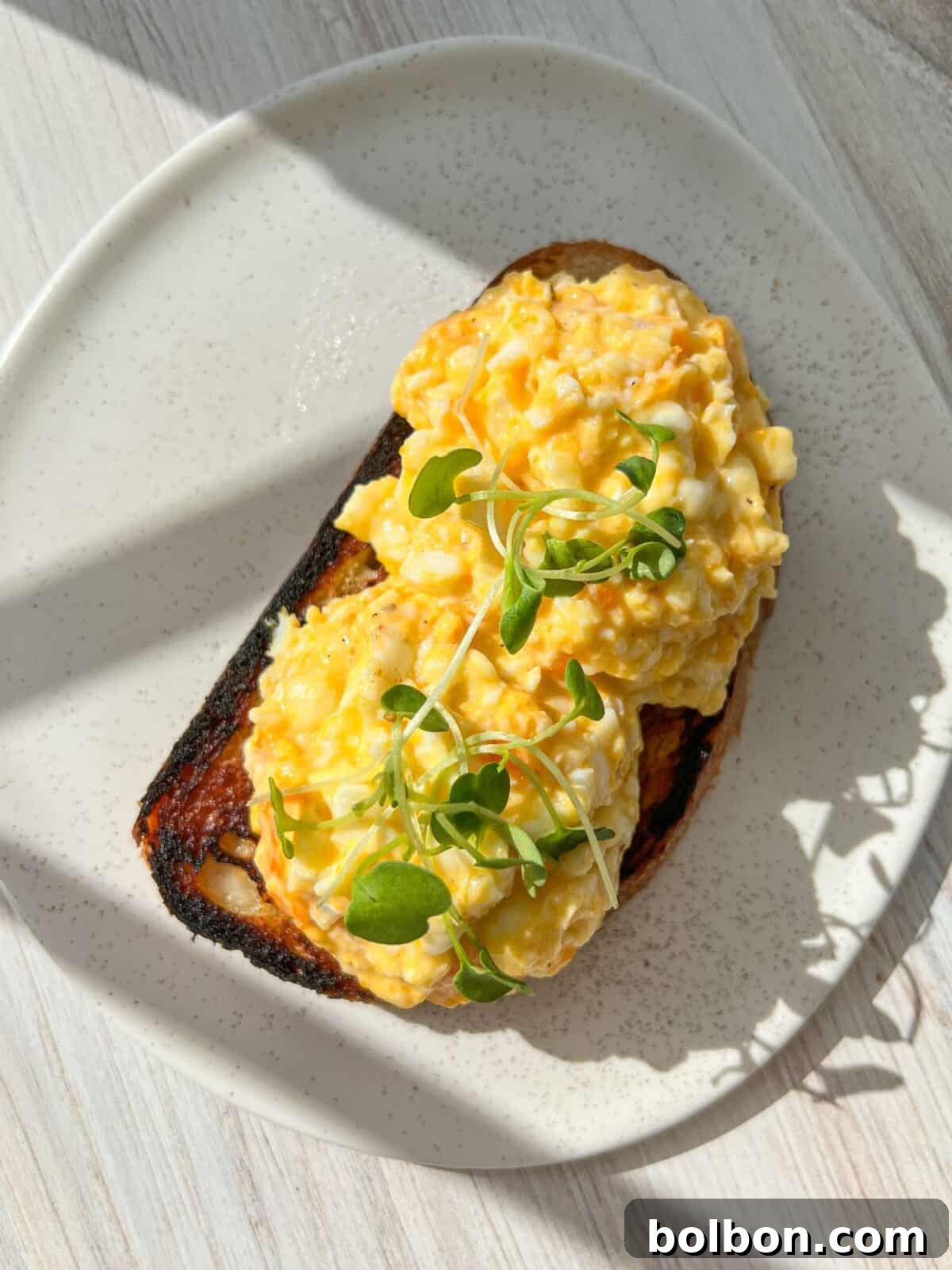 A plate with two slices of toast topped with scrambled eggs and garnished with microgreens. The high protein toast is slightly charred, and sunlight casts shadows on the white, speckled plate and wooden table surface.
