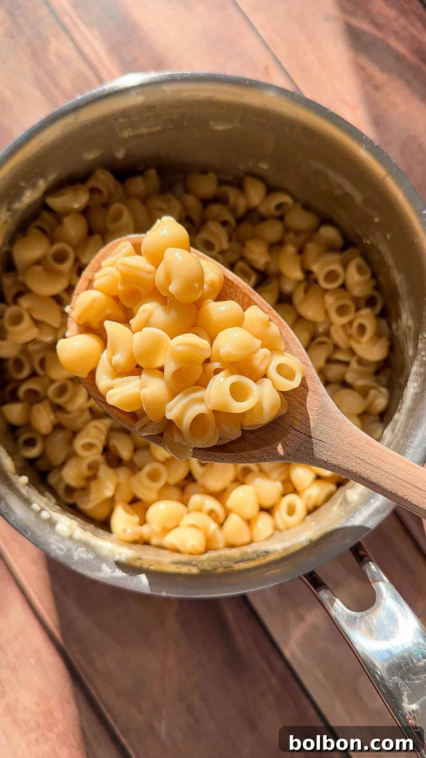 A wooden spoon holds a serving of cooked macaroni shells above a pot filled with more rich, Asian Italian Buttered Noodles, sitting on a wooden surface with sunlight shining on it.
