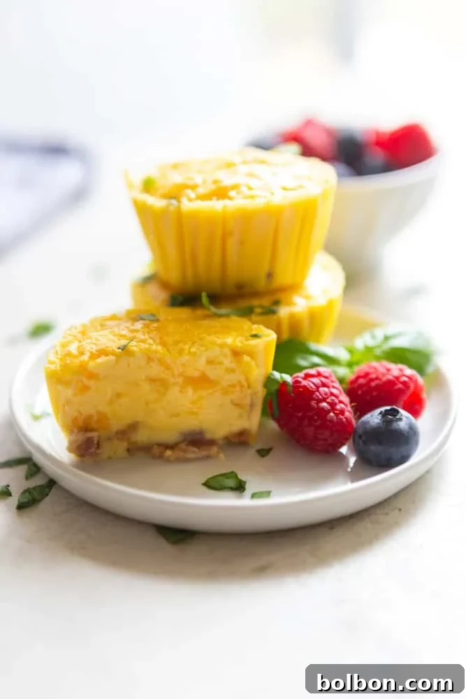 High-Protein Cottage Cheese Egg Muffins for Quick Breakfast & Meal Prep 2 img 16563 1 1