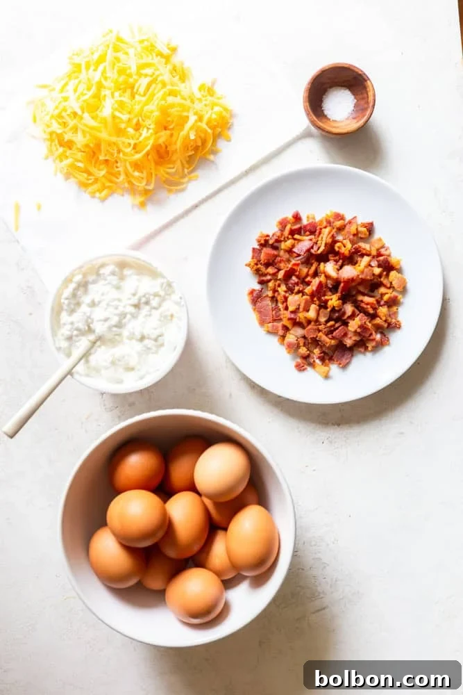 High-Protein Cottage Cheese Egg Muffins for Quick Breakfast & Meal Prep 3 img 16563 2