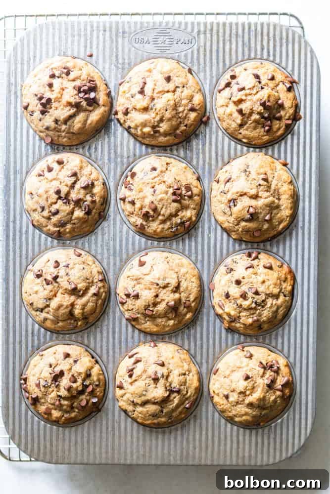 Healthy Banana Muffins Recipe — Easy, Moist & Low-Sugar Muffins 4 Batch of muffins