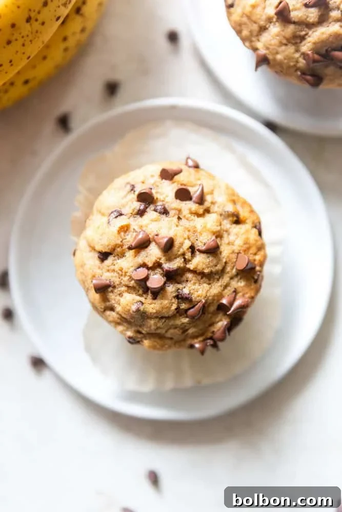 Healthy Banana Muffins Recipe — Easy, Moist & Low-Sugar Muffins 5 Muffins cooling