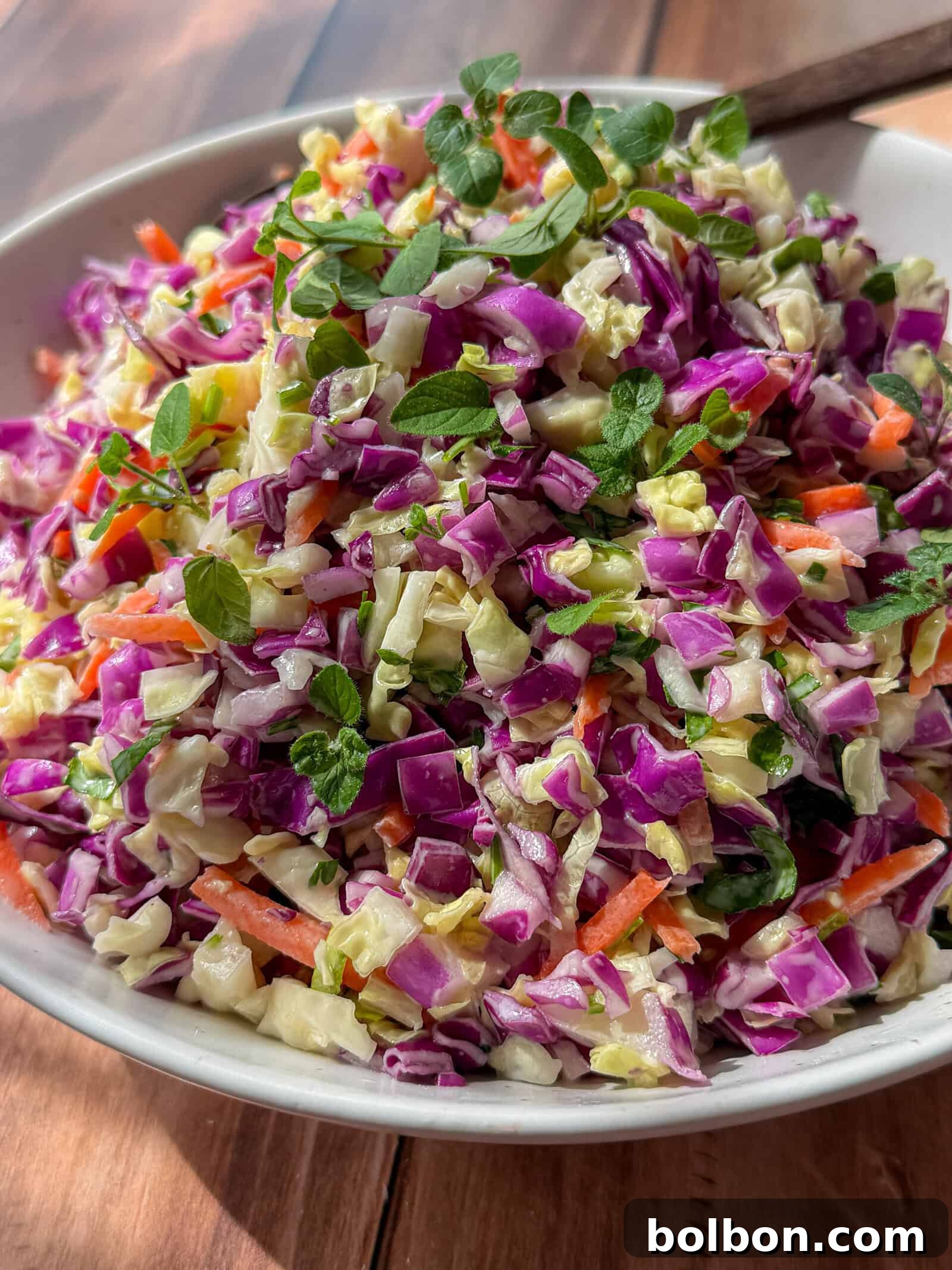 Express Cabbage Crunch Salad 2 A vibrant bowl of freshly chopped cabbage salad, featuring a mix of purple and green cabbage, bright orange carrots, and a creamy dressing, ready to be served.