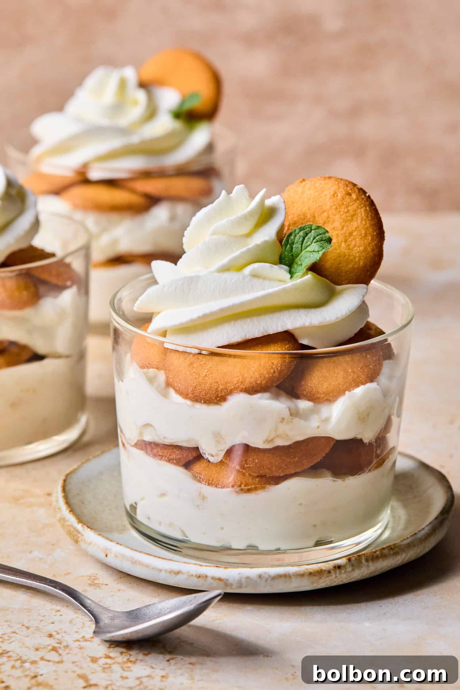 A glass dessert cup filled with layers of vanilla pudding, round cookies, and whipped cream, garnished with a cookie and a mint leaf, sits on a plate with a spoon beside it. Another dessert cup is in the background.