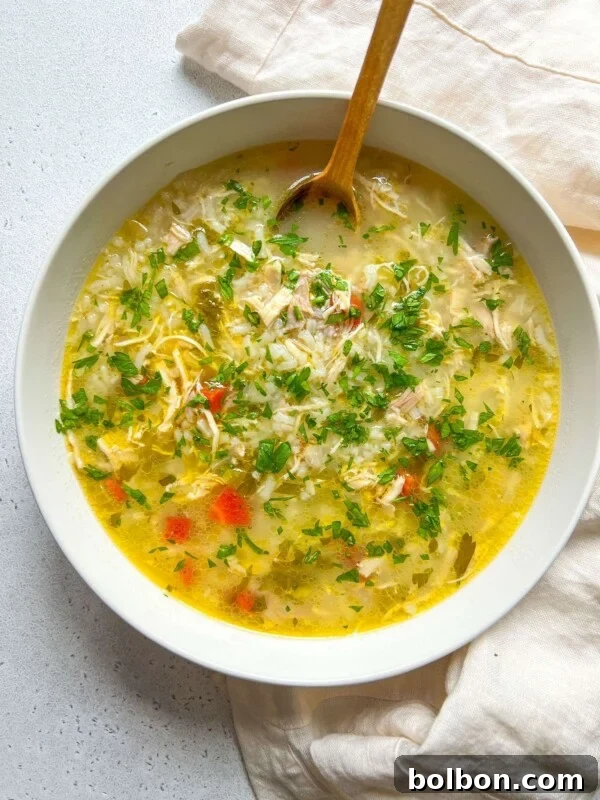 Viral No-Water Chicken Soup Recipe That Uses Just Broth 3 A bowl of The Best Chicken Soup Ever, garnished with chopped parsley, features shredded chicken, rice, carrots, and celery in a clear broth.