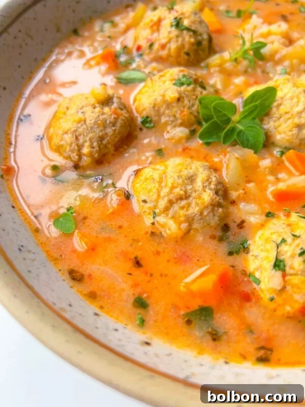 Viral No-Water Chicken Soup Recipe That Uses Just Broth 6 A bowl of soup with meatballs, diced carrots, rice, herbs, and a creamy orange broth.