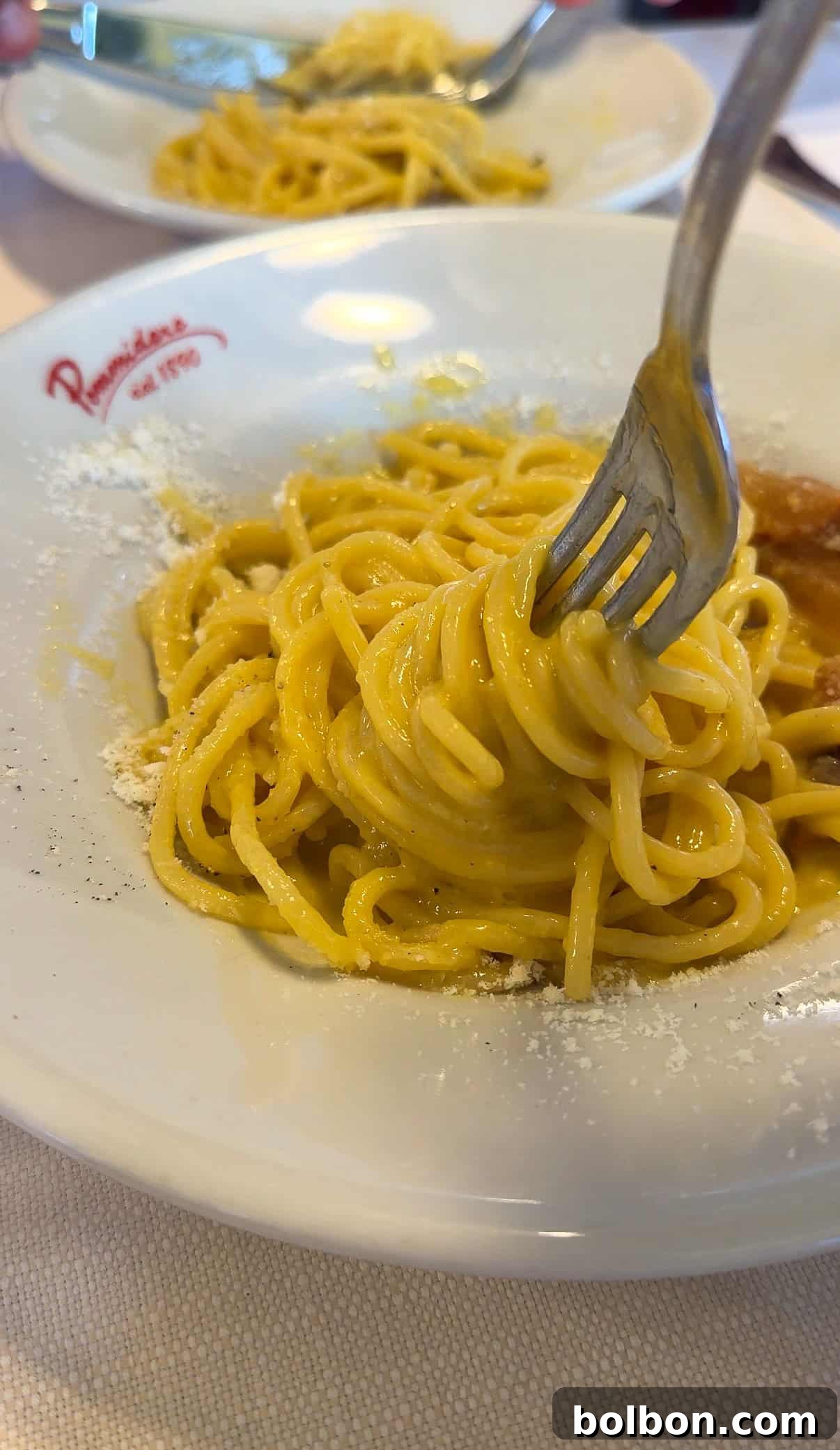 A close-up of a plate of spaghetti being twirled around a fork. The pasta is lightly coated in a creamy sauce with grated cheese sprinkled around the edge of a white plate. Another plate of pasta is visible in the background.