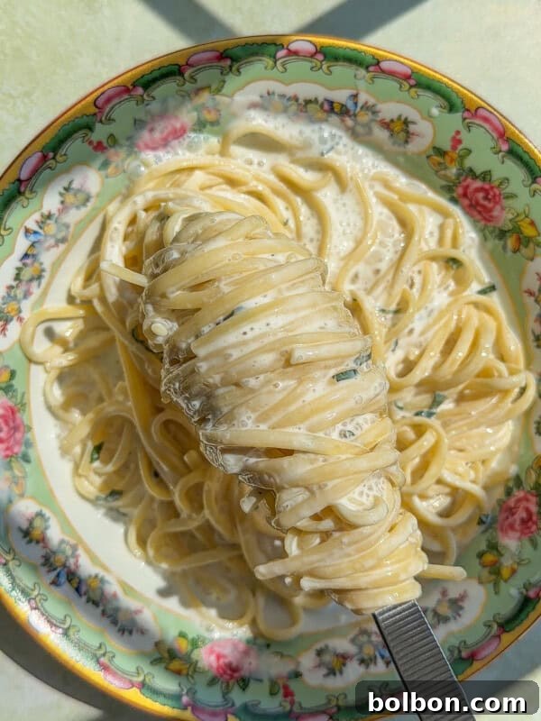 TikTok Viral Yogurt Noodles Recipe 8 A fork holds a twirl of creamy yogurt noodles above a floral-patterned bowl filled with more pasta, all bathed in sunlight.