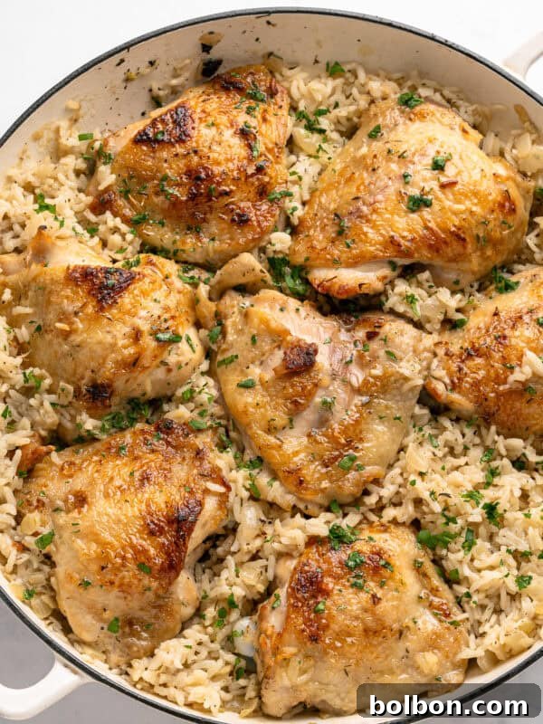 One pan chicken thighs on a bed of rice