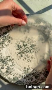 Two hands hold a translucent circular sheet above a decorative plate with green floral patterns, with sunlight casting shadows across the surface.