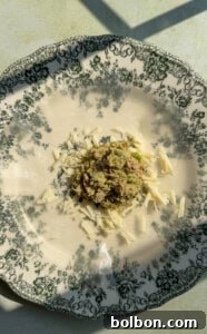 A floral-patterned plate holds a small pile of shredded cheese and a scoop of tuna salad, lit by sunlight.