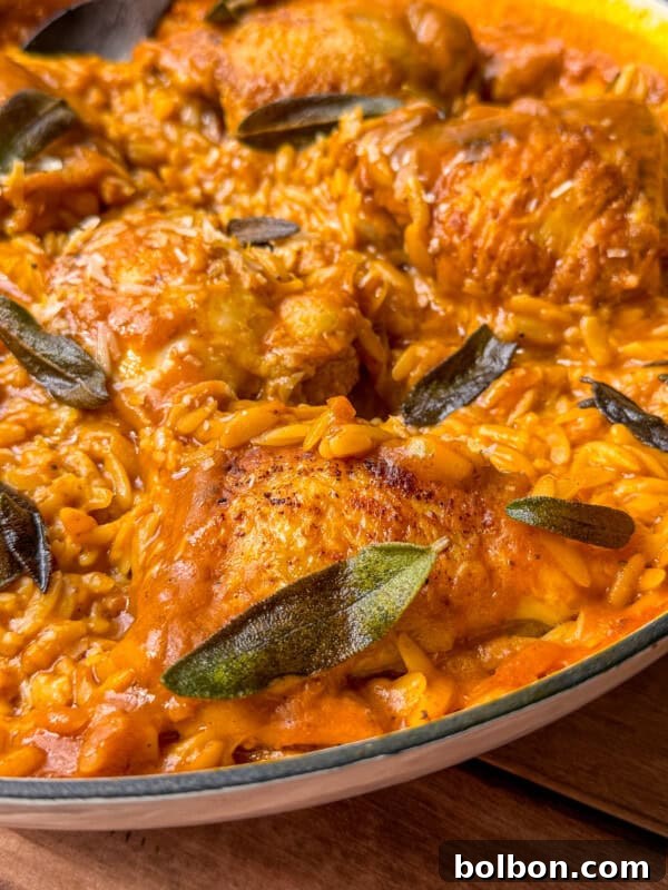 Chicken thighs in a pan sitting on a bed of pumpkin orzo.